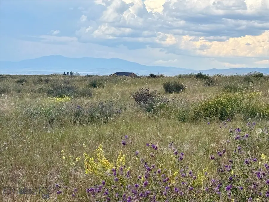 40 Buffalo Jump Trail, Toston, MT 59643 - #3