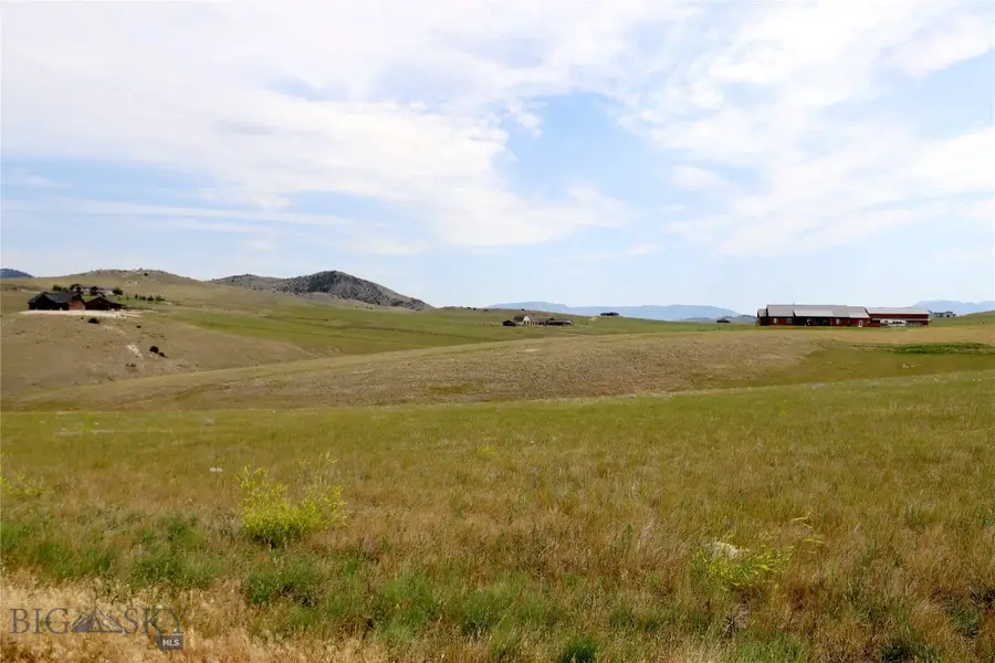 Lot 168 Tbd Blue Bonnet, Manhattan, MT 59741 - #2