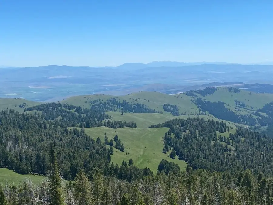 Anna Indian Creek Rd, Townsend, MT 59644 - #2