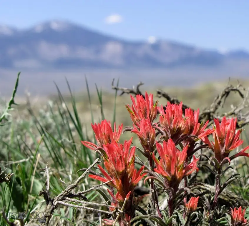 tbd Cumberland Road, Clark, WY 82435 - #3