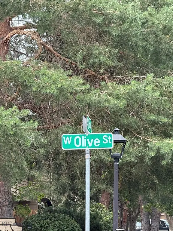 1703 W Olive #9, Bozeman, MT 59715 - #3
