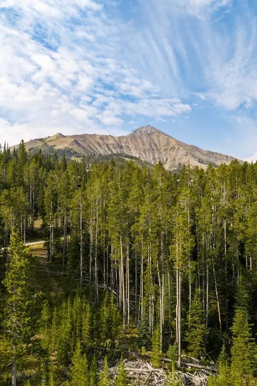 Lot 14 Peaks View Drive, Big Sky, MT 59716 - #2