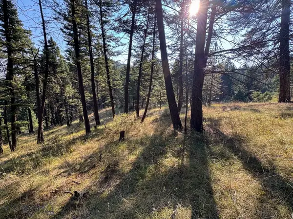 93 Saddle Mountain Drive, Clancy, MT 59634
