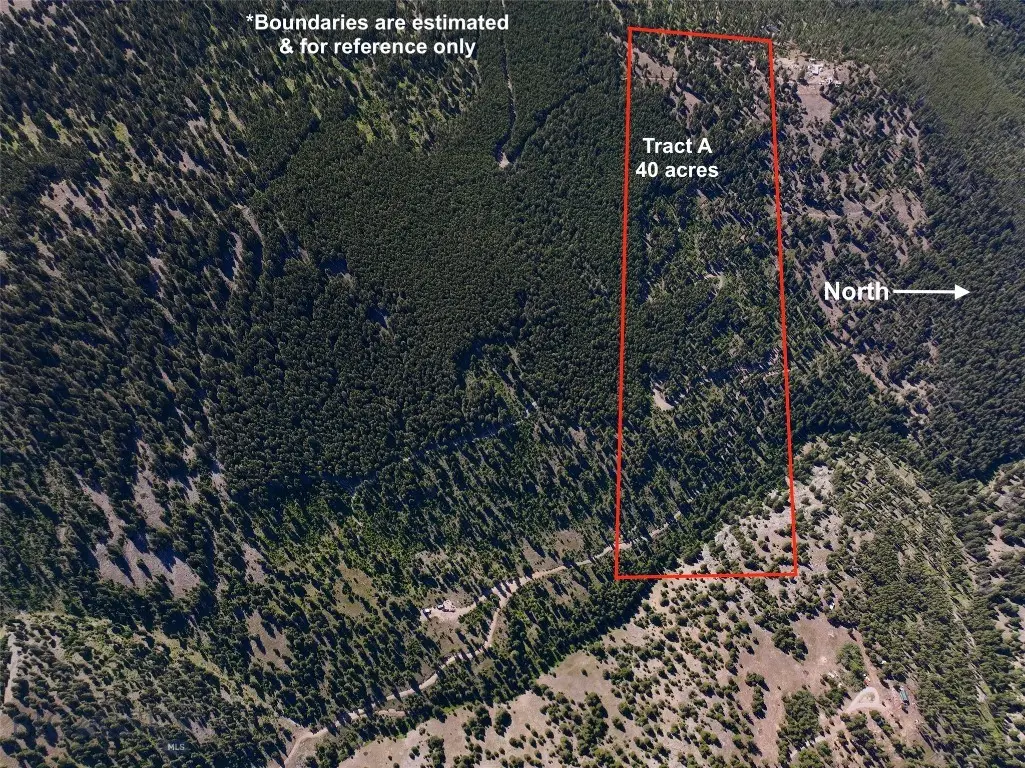 TBD A Chimney Lakes Road, Helmville, MT 59843 - #1