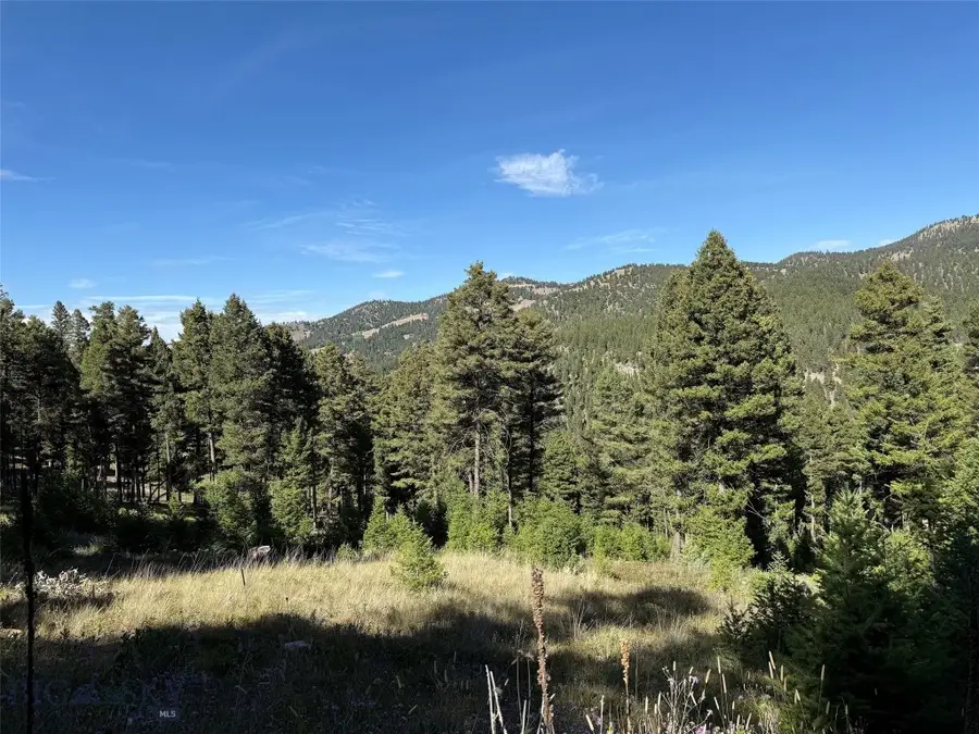 TBD A Chimney Lakes Road, Helmville, MT 59843 - #2
