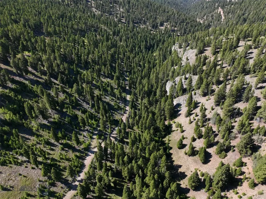 TBD A Chimney Lakes Road, Helmville, MT 59843 - #3