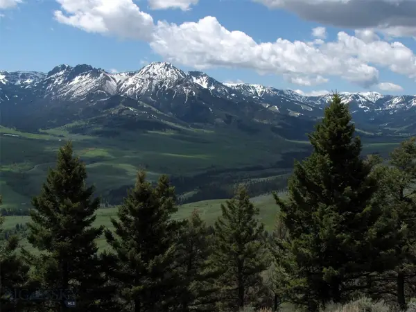 tbd Grizzly Meadows Road, Emigrant, MT 59027