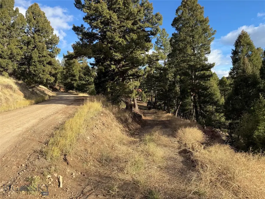 Lot 5 Scranton Lode, Philipsburg, MT 59858 - #2