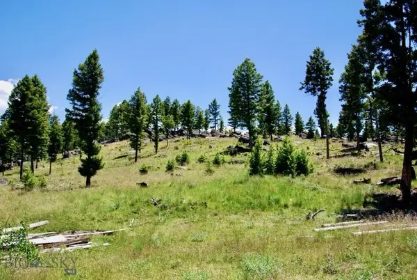 3414 Divide Creek, Divide, MT 59727
