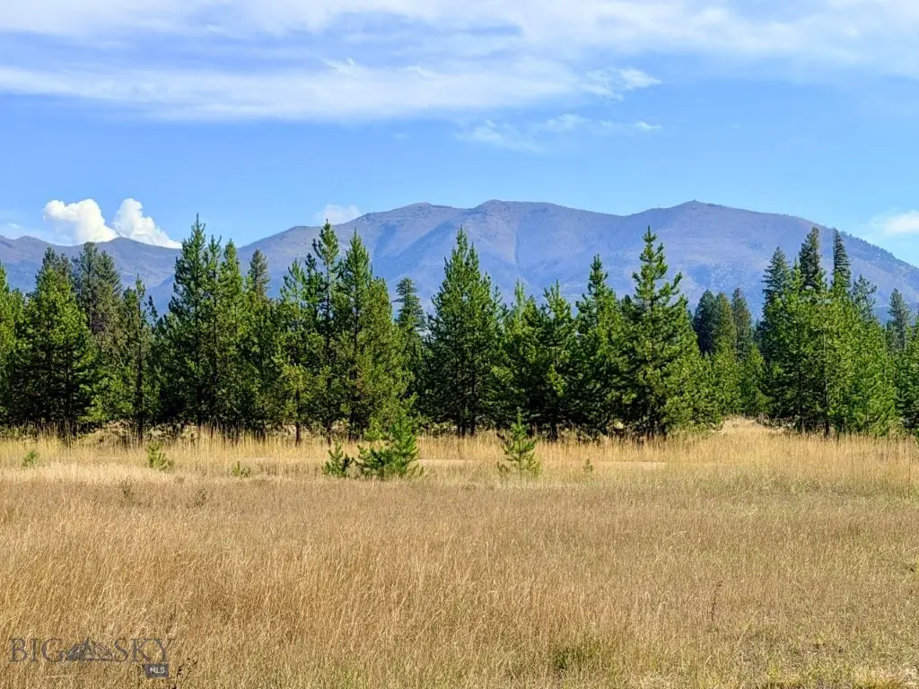 422 Daisy Lane, Seeley Lake, MT 59868 - #1