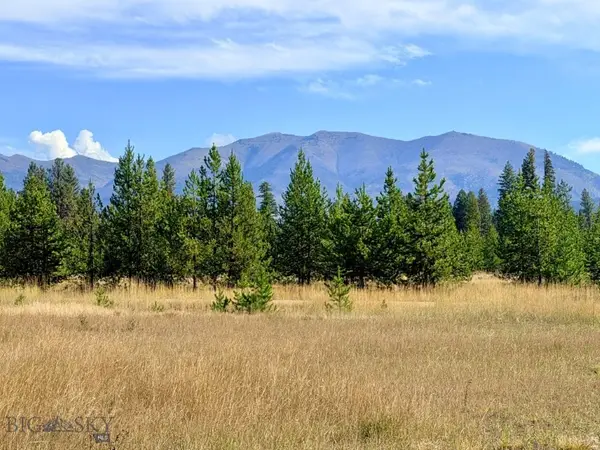 422 Daisy Lane, Seeley Lake, MT 59868