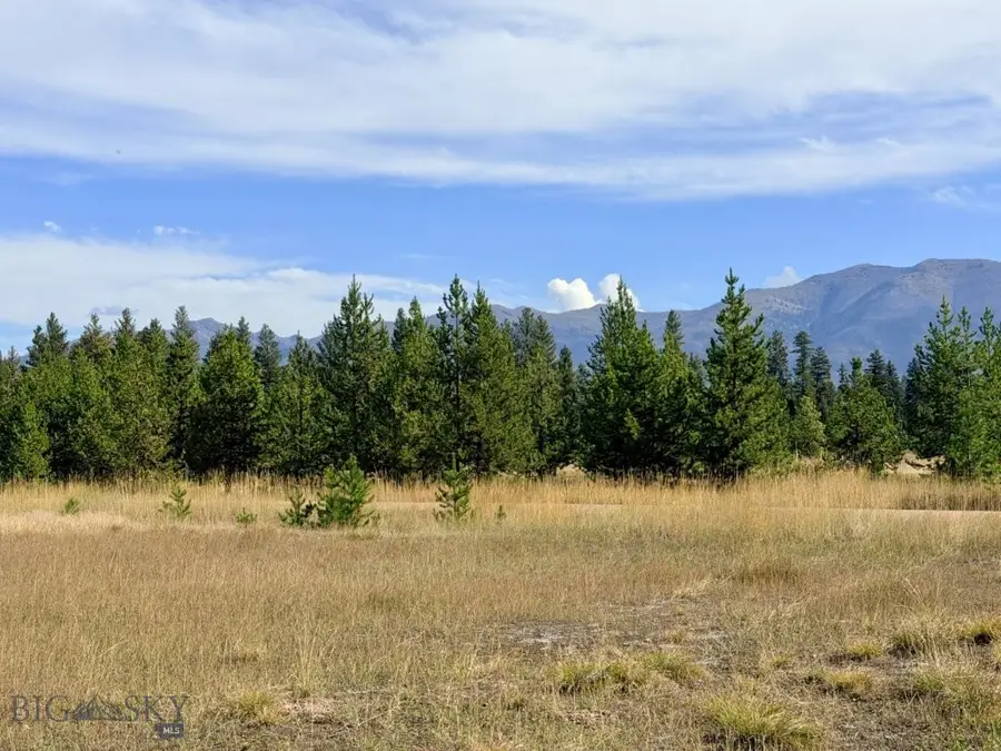 422 Daisy Lane, Seeley Lake, MT 59868 - #3