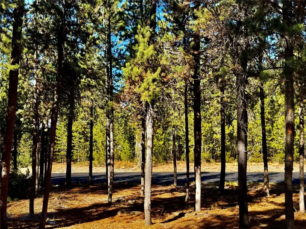 612 Apollinaris Avenue, West Yellowstone, MT 59758 - #1