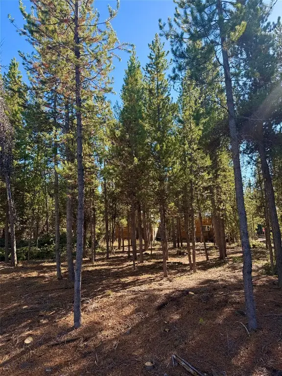 612 Apollinaris Avenue, West Yellowstone, MT 59758 - #2