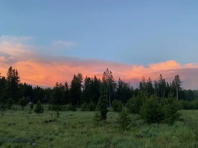TBD Pine Marten, Anaconda, MT 59711 - #1