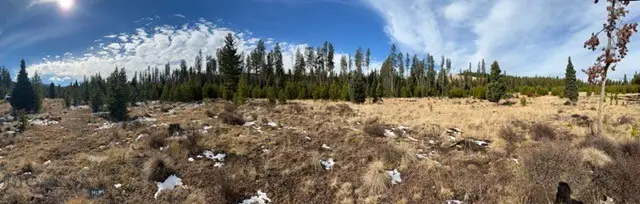 TBD Pine Marten, Anaconda, MT 59711 - #3