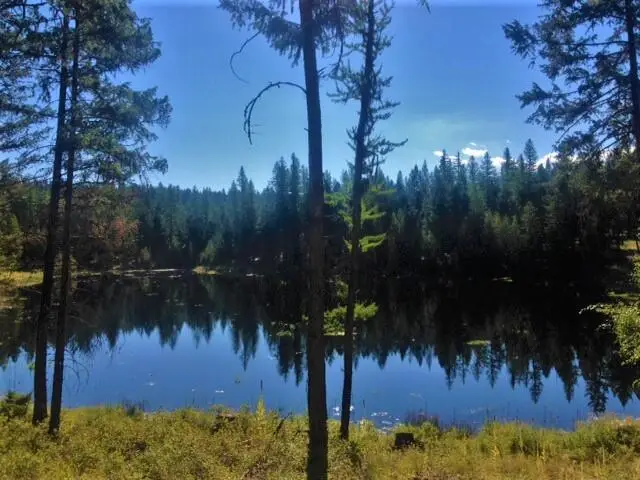 Parcel F W Dodge Creek Road, Rexford, MT 59930 - Image #1