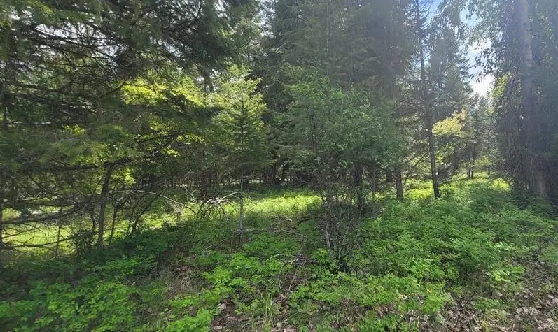 Tbd, Lot 2 Parmenter Road, Libby, MT 59923 - Image #3