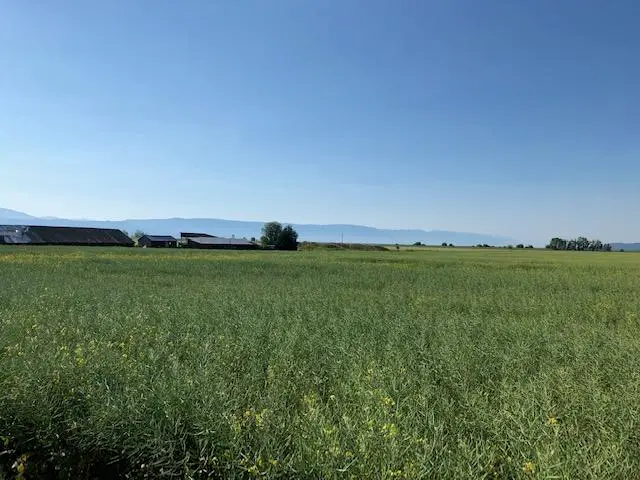 Nhn Mt-82, Somers, MT 59932 - Image #2