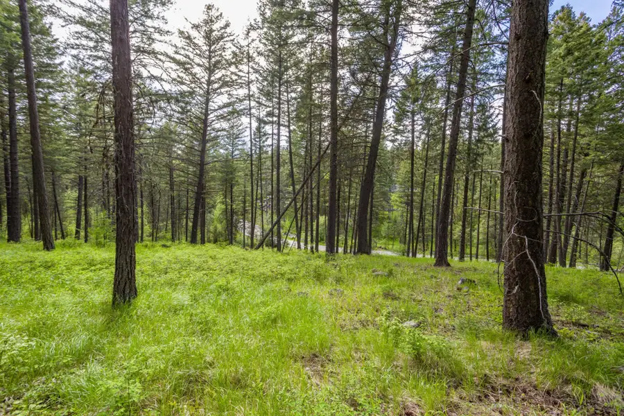 604 Ranch Road, Bigfork, MT 59911 - Image #2