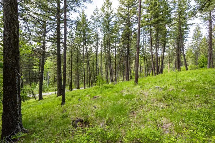 604 Ranch Road, Bigfork, MT 59911 - Image #3