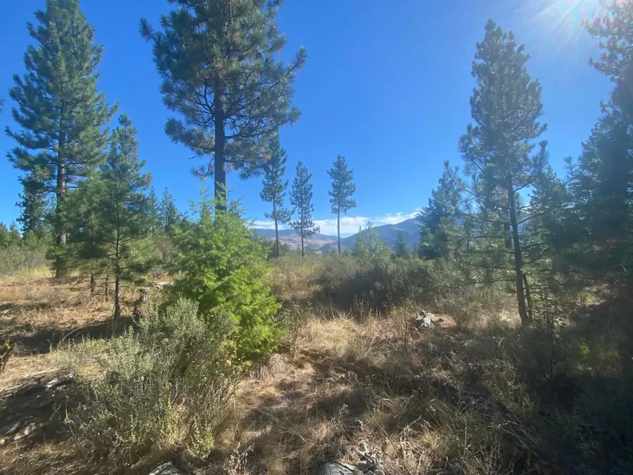 Lot 14 Bighorn, Plains, MT 59859 - Image #2