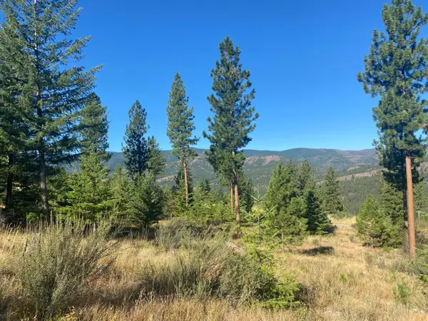 Lot 40 Bighorn Bluff Loop, Plains, MT 59859