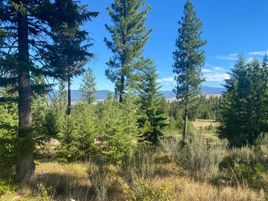 Lot 40 Bighorn Bluff Loop, Plains, MT 59859 - Image #2
