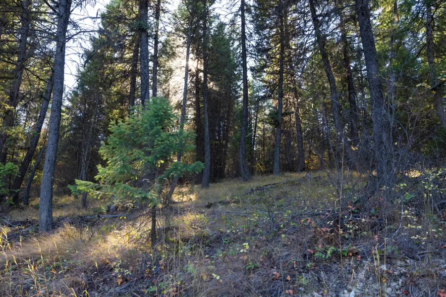 Nhn Gut Creek Road, Eureka, MT 59917 - Image #2