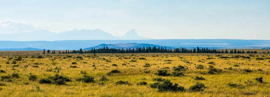 Nhn Arnoux Creek 314 Acres, Babb, MT 59411 - Image #2