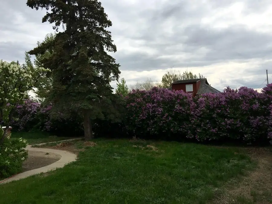 904 Cedar Avenue, Shelby, MT 59474 - Image #2