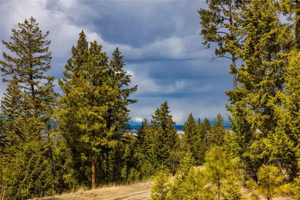 1243 Tobacco Valley View Road, Eureka, MT 59917