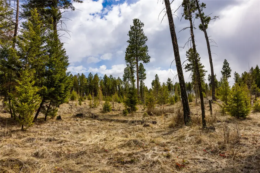 1243 Tobacco Valley View Road, Eureka, MT 59917 - Image #3