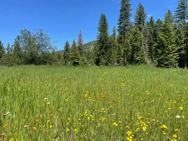 no address Green Mountain Road, Trout Creek, MT 59874 - Image #2