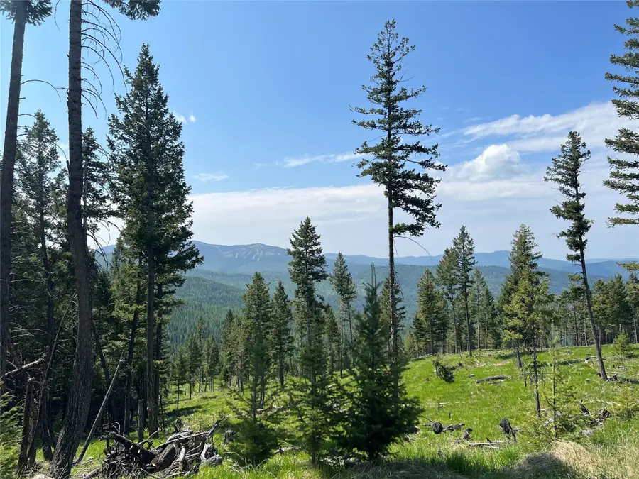 Nhn Emmons Canyon Road, Kalispell, MT 59901 - Image #3