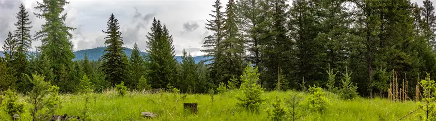 4736 Sinclair Creek Drive, Eureka, MT 59917 - Image #3