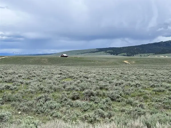 Tract 11 Steel Creek Road, Wisdom, MT 59761