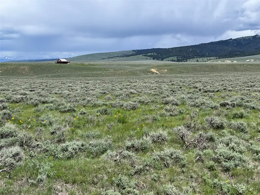 Tract 11 Steel Creek Road, Wisdom, MT 59761 - Image #2