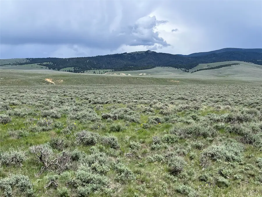 Tract 11 Steel Creek Road, Wisdom, MT 59761 - Image #3