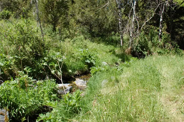Multiple Blocks, Virginia City, MT 59755