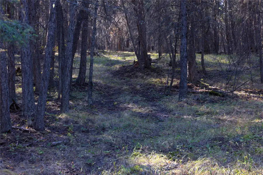 10 Acres Gut Creek Road, Rexford, MT 59930 - #2