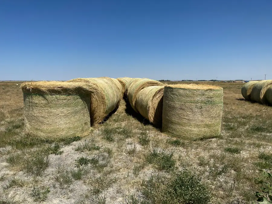 162 Hwy 220, Choteau, MT 59422 - Image #3