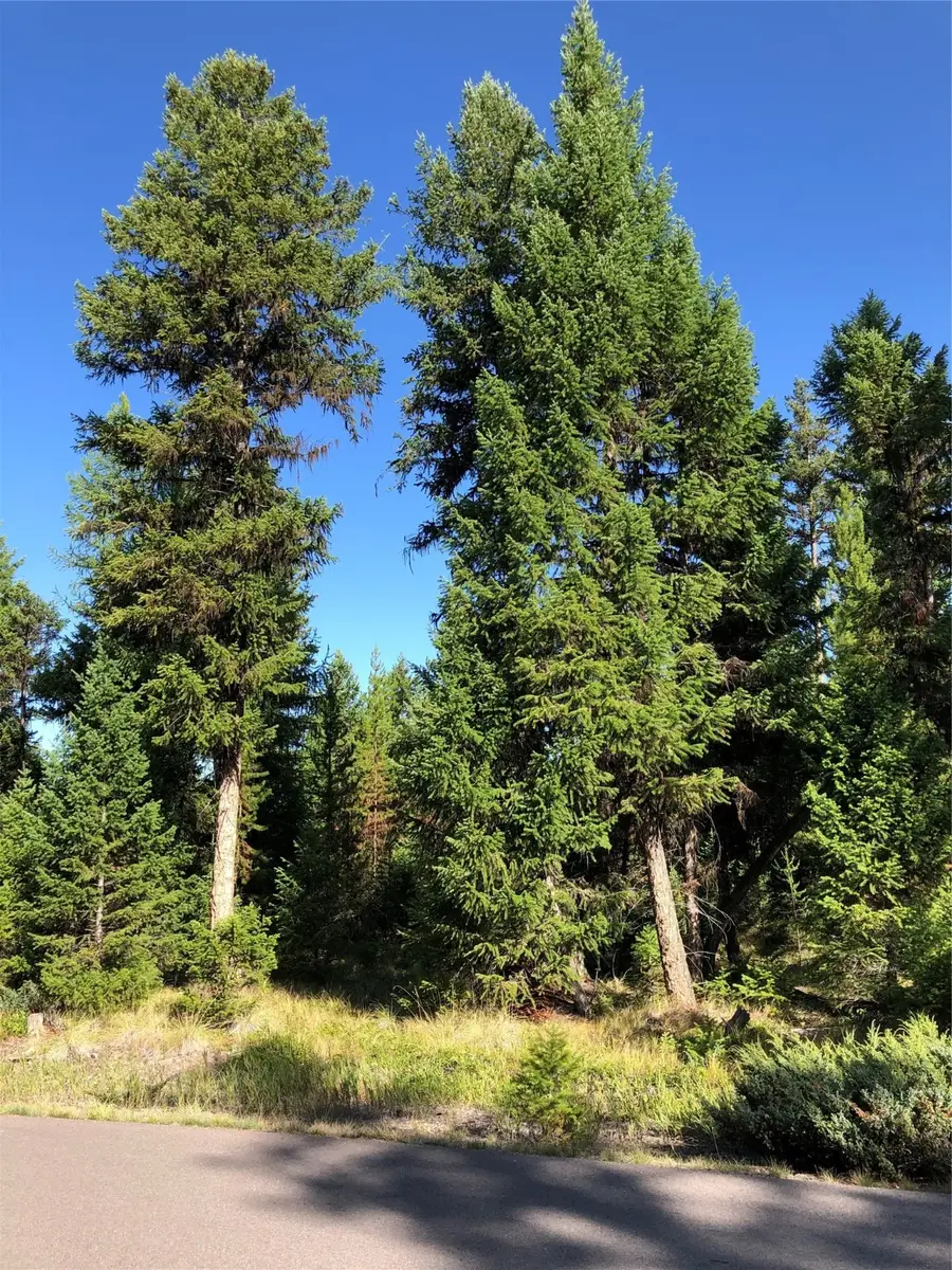 939 N Bitterroot Road, Marion, MT 59925 - Image #2