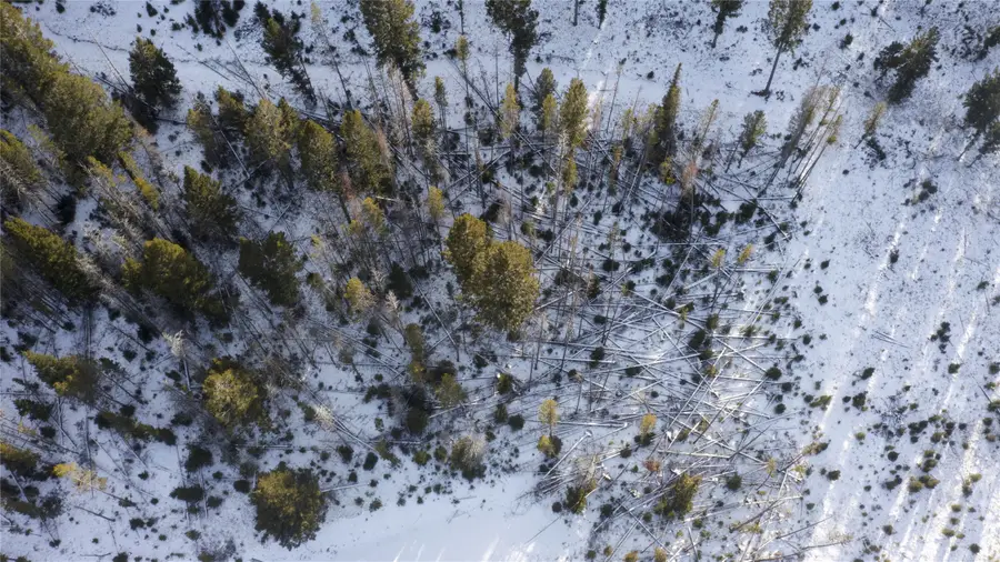 Lot 38 Mountain View Estates, Anaconda, MT 59711 - Image #2