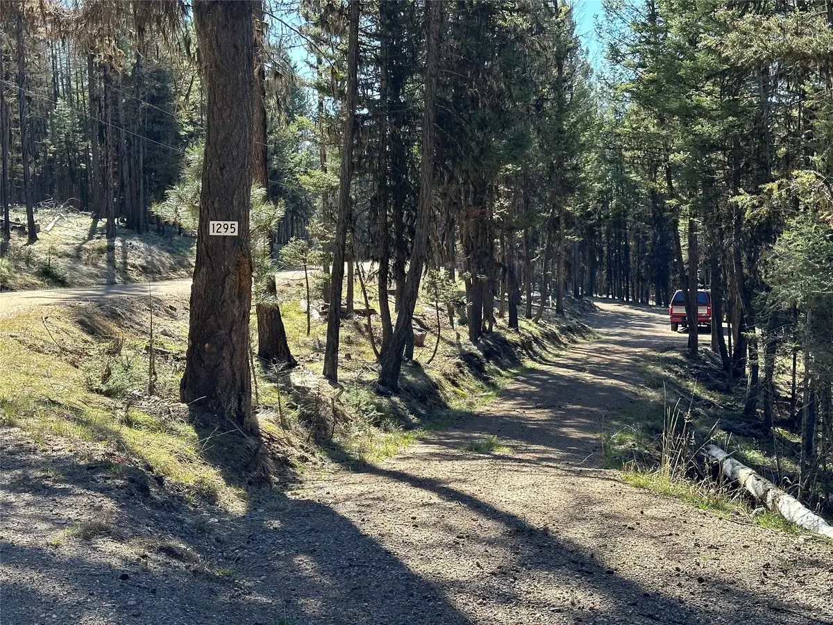 1295 Stage Coach Drive, Seeley Lake, MT 59868 - Image #1