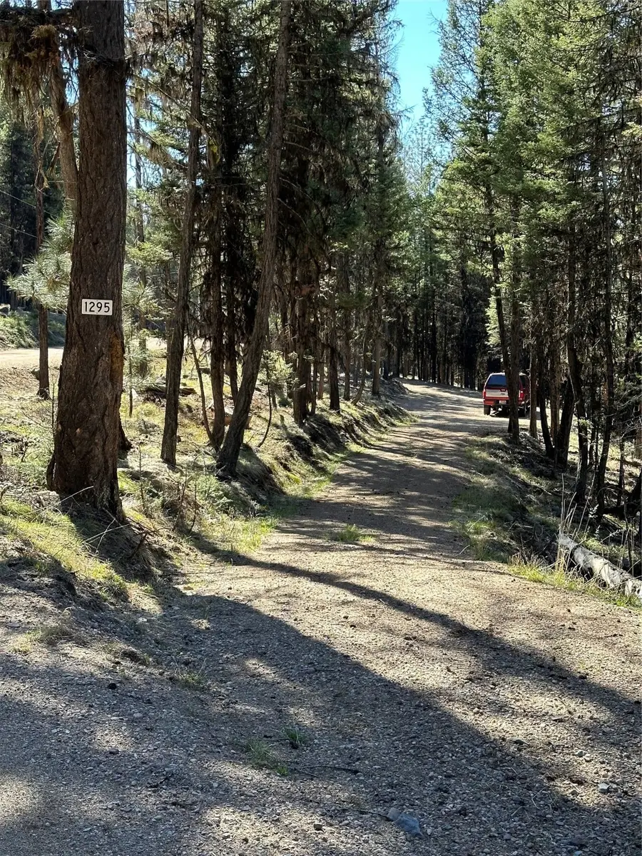 1295 Stage Coach Drive, Seeley Lake, MT 59868 - Image #2