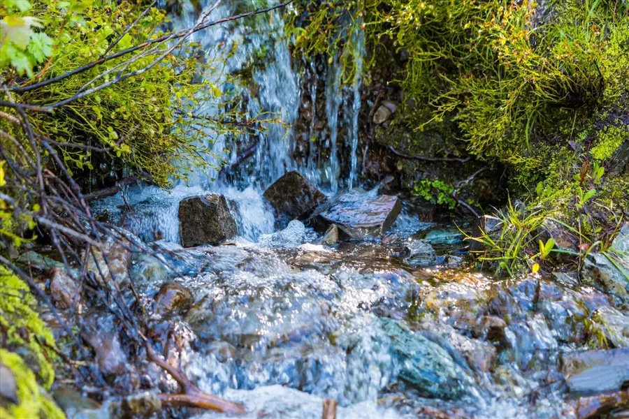 Nhn Griffin Creek Road, Marion, MT 59925 - Image #2