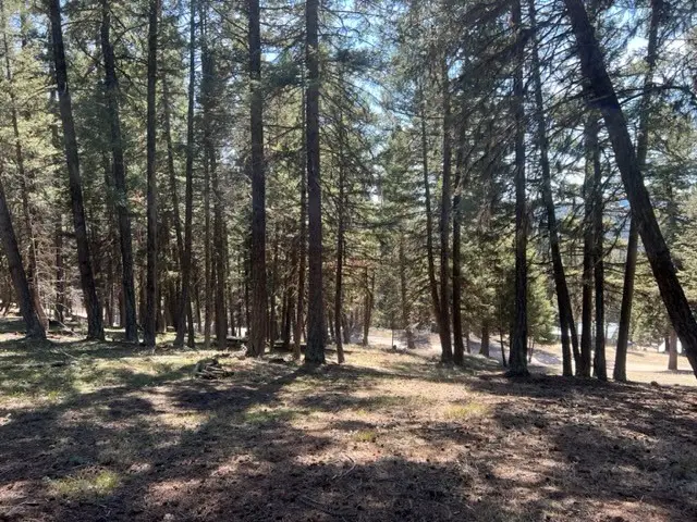 990 Elkhorn Road, Seeley Lake, MT 59868 - Image #2