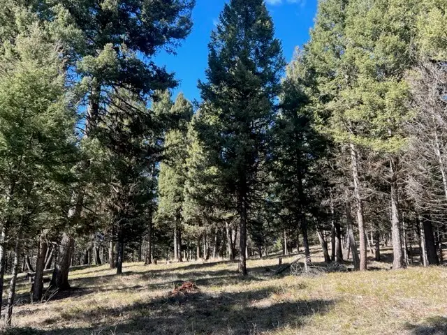 240 Wolverine Drive, Seeley Lake, MT 59868 - Image #2