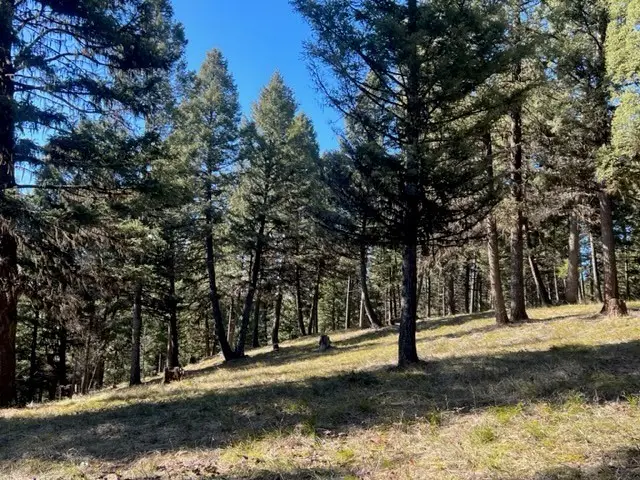 240 Wolverine Drive, Seeley Lake, MT 59868 - Image #3